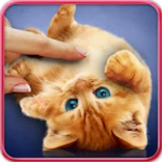 Logo of Purring Cats android Application 