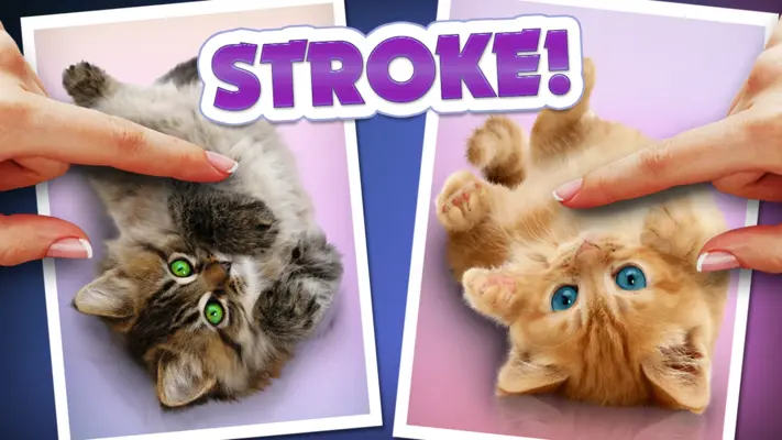 Purring Cats android App screenshot 7